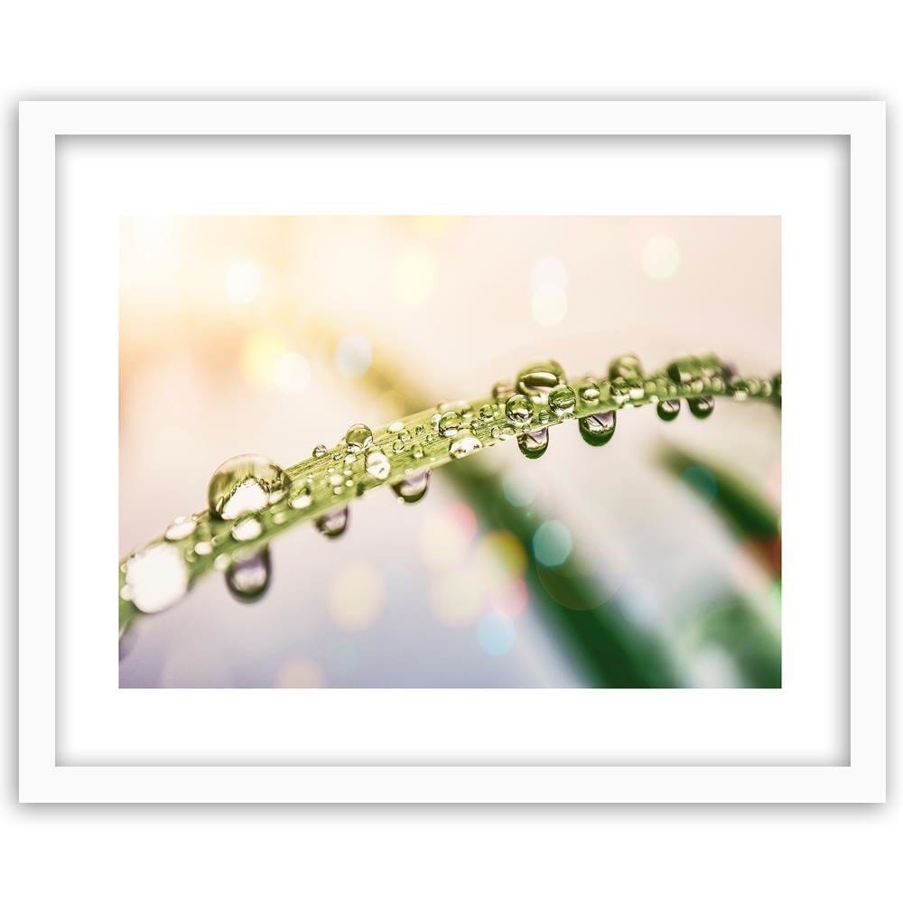 Glezna baltā rāmī - Drops On Grass  Home Trends DECO