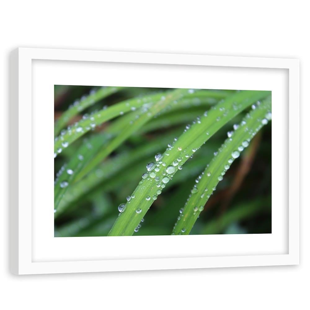 Glezna baltā rāmī - Drops On Leaves  Home Trends DECO