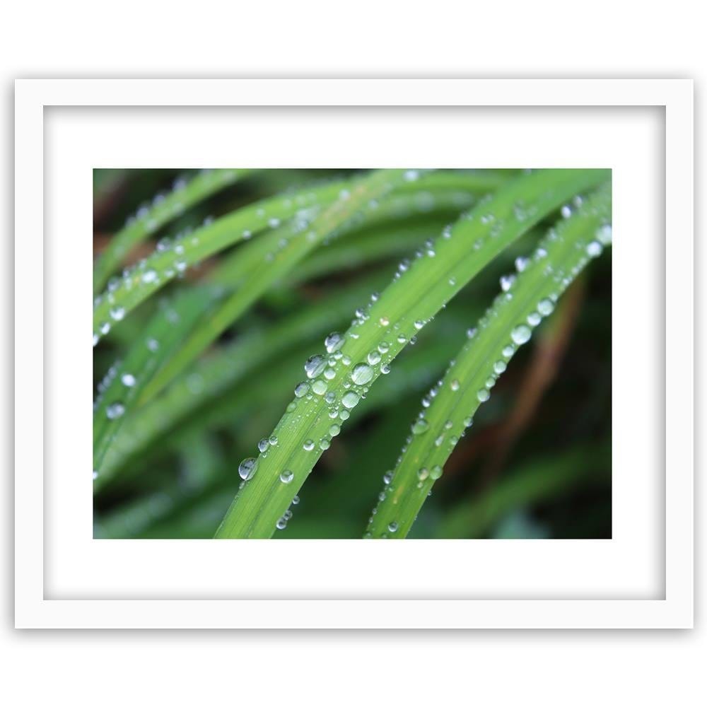 Glezna baltā rāmī - Drops On Leaves  Home Trends DECO