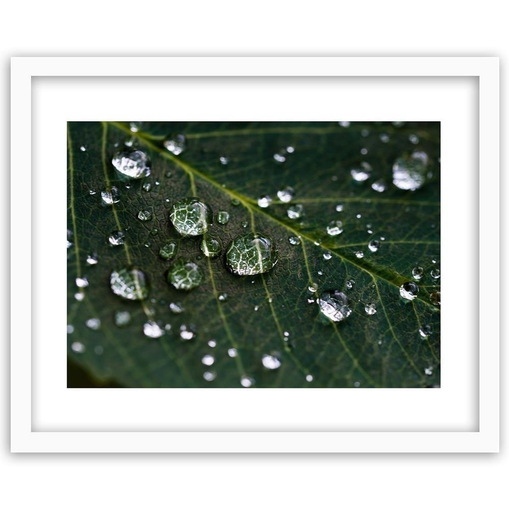 Glezna baltā rāmī - Drops On The Leaves  Home Trends DECO