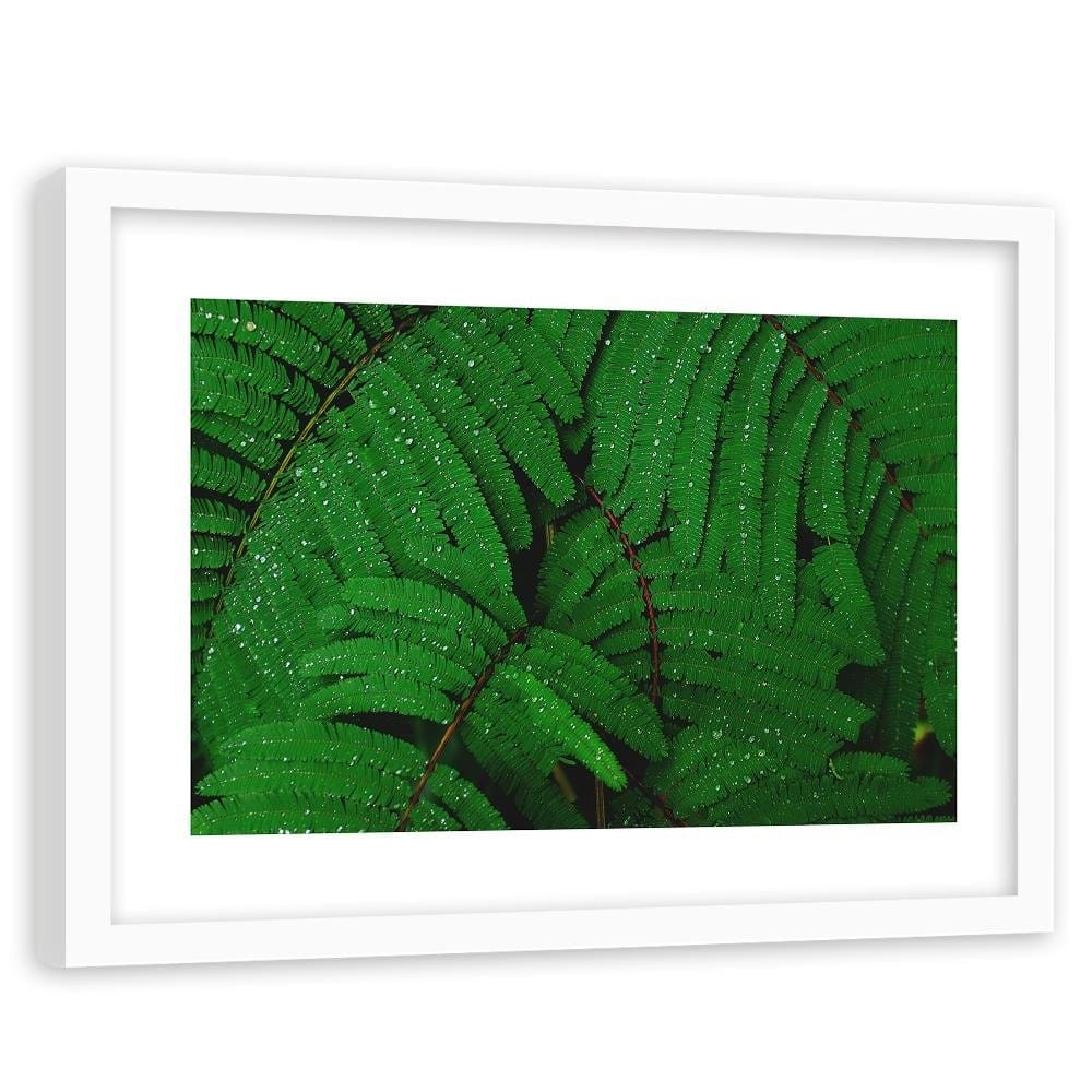 Glezna baltā rāmī - Drops On The Leaves Of A Fern  Home Trends DECO