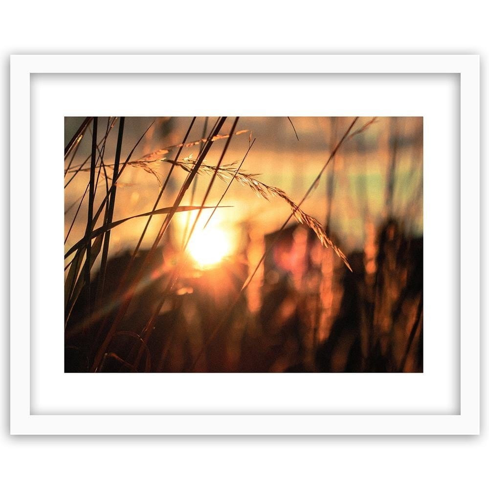 Glezna baltā rāmī - Ears In The Sun  Home Trends DECO