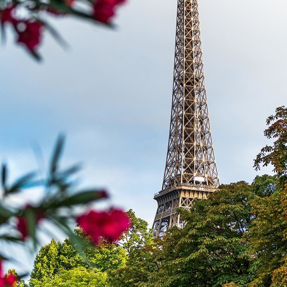 Glezna baltā rāmī - Eiffel Tower And Flower Home Trends DECO