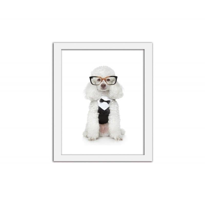 Glezna baltā rāmī - Elegant dog Home Trends DECO