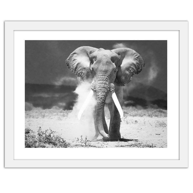 Glezna baltā rāmī - Elephant Home Trends DECO