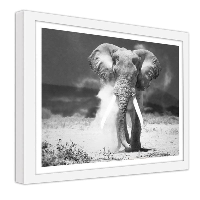 Glezna baltā rāmī - Elephant Home Trends DECO