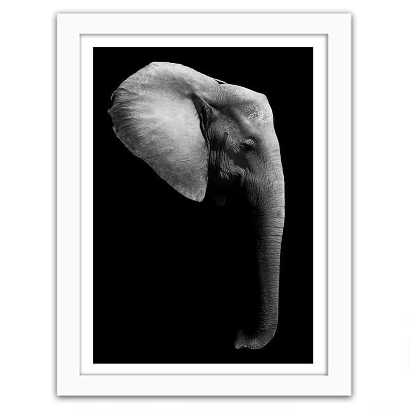 Glezna baltā rāmī - Elephant in black and white Home Trends DECO
