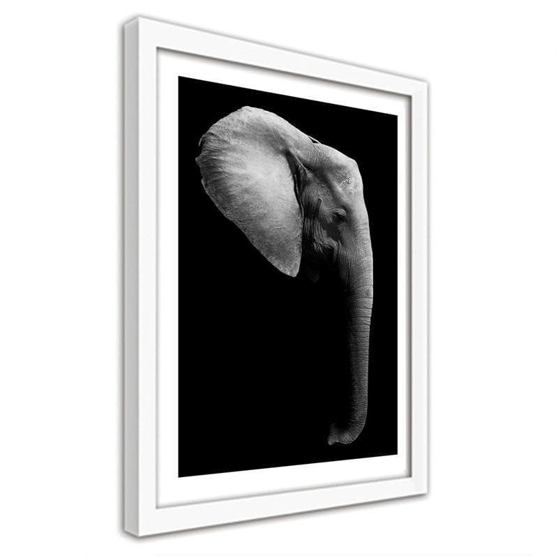 Glezna baltā rāmī - Elephant in black and white Home Trends DECO