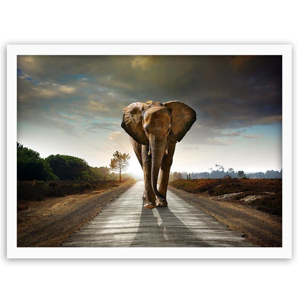 Glezna baltā rāmī - Elephant On The Road Home Trends DECO