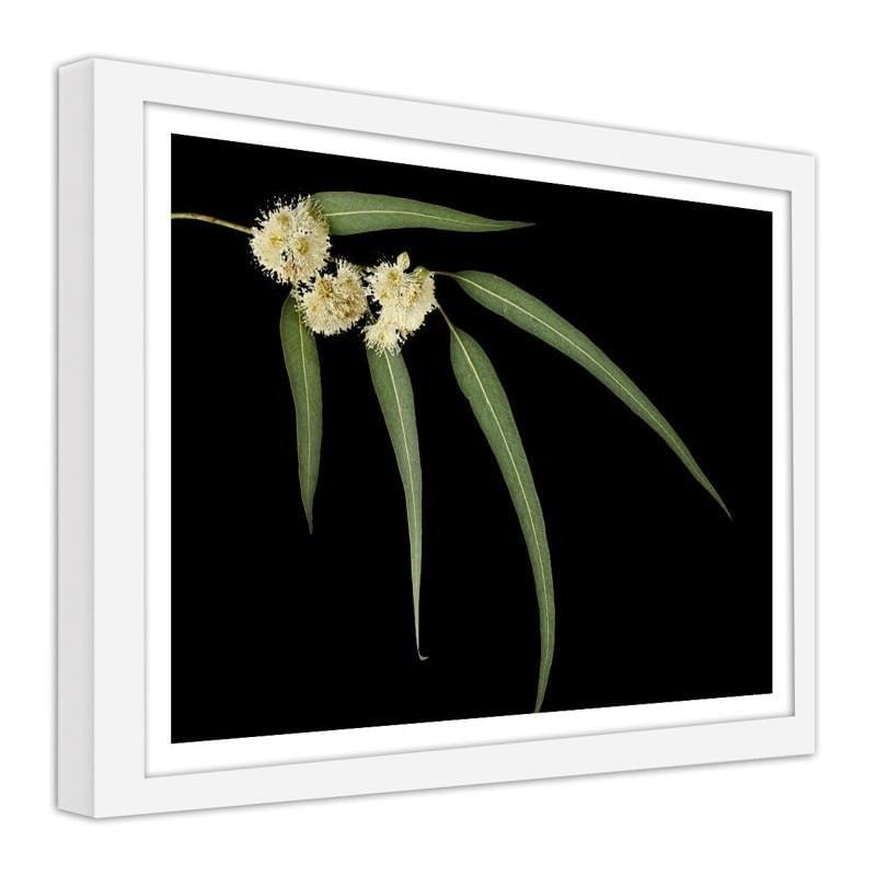 Glezna baltā rāmī - Eucalyptus Home Trends DECO