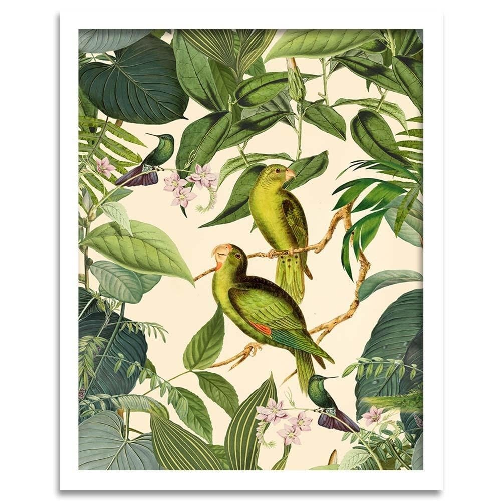 Glezna baltā rāmī - Exotic Birds Home Trends DECO