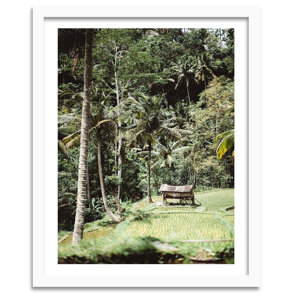 Glezna baltā rāmī - Exotic Garden  Home Trends DECO