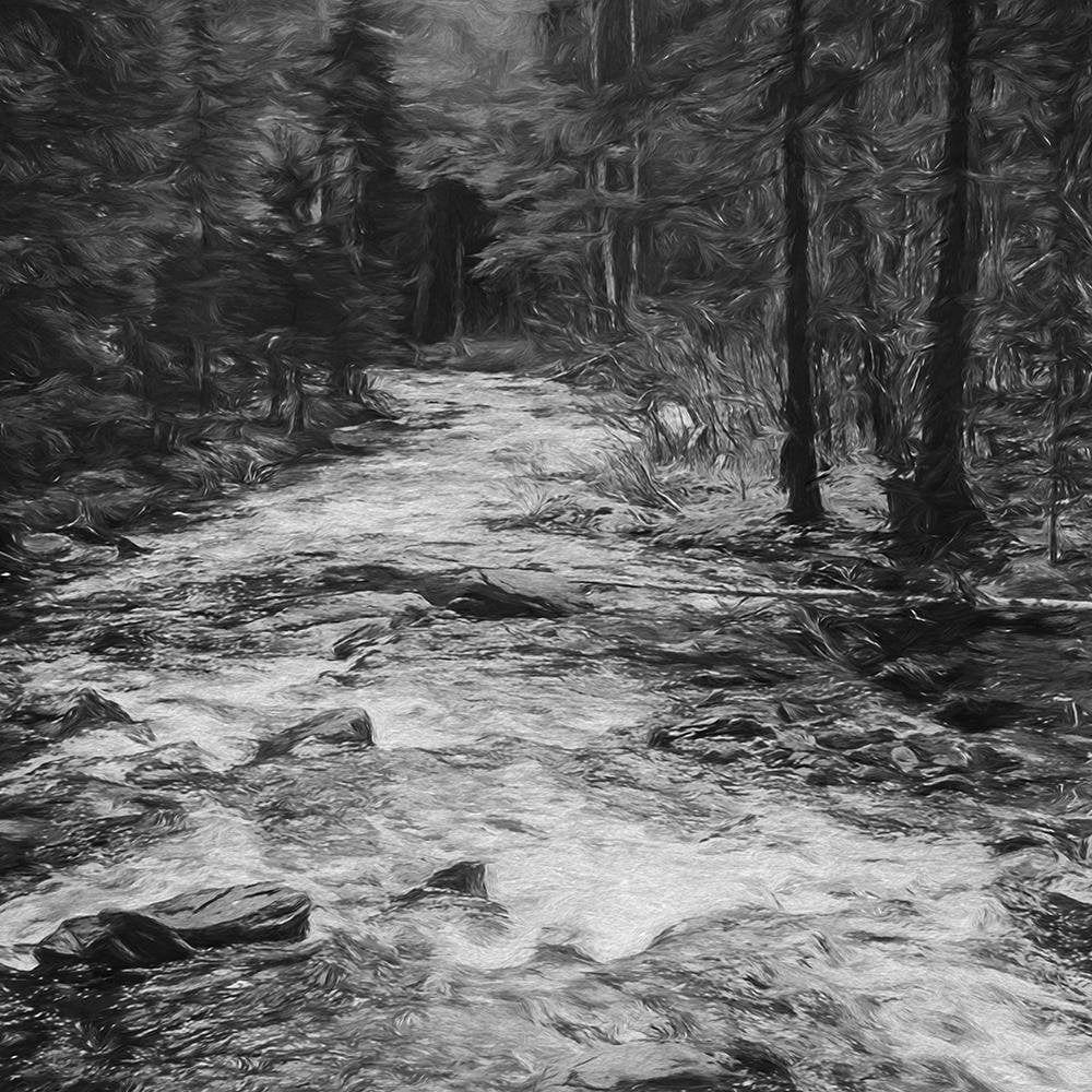 Glezna baltā rāmī - Fairytale Forest 2 Home Trends DECO