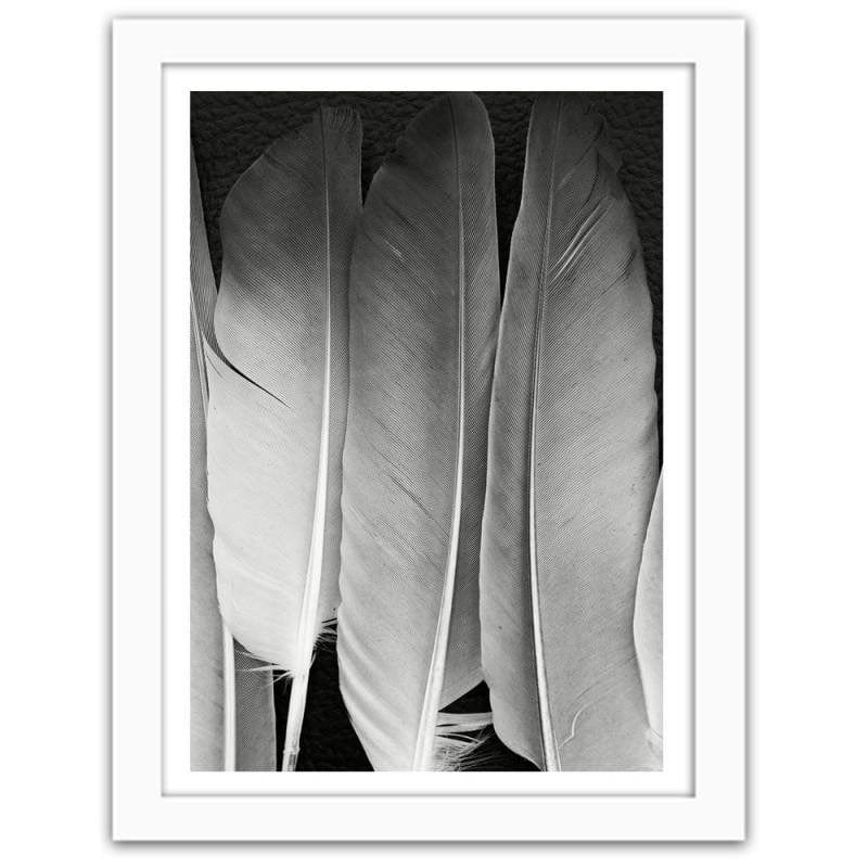 Glezna baltā rāmī - Feathers in black and white Home Trends DECO