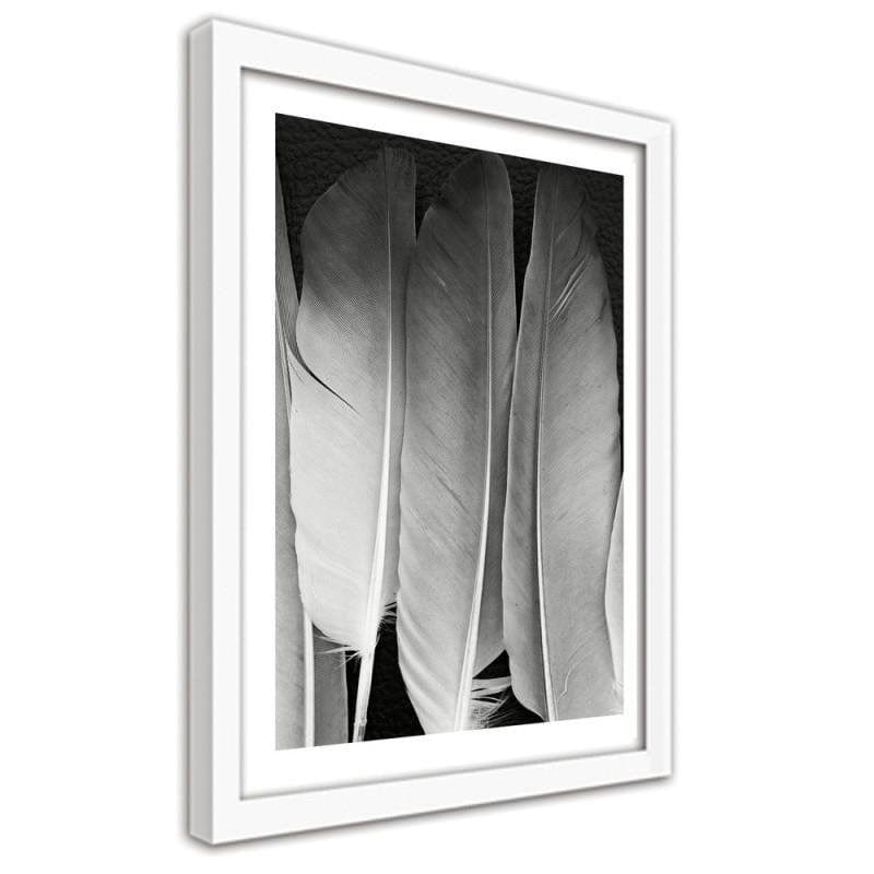 Glezna baltā rāmī - Feathers in black and white Home Trends DECO