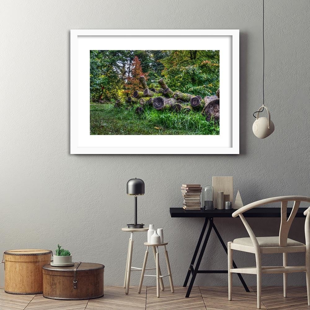 Glezna baltā rāmī - Felled Tree Trunks Home Trends DECO