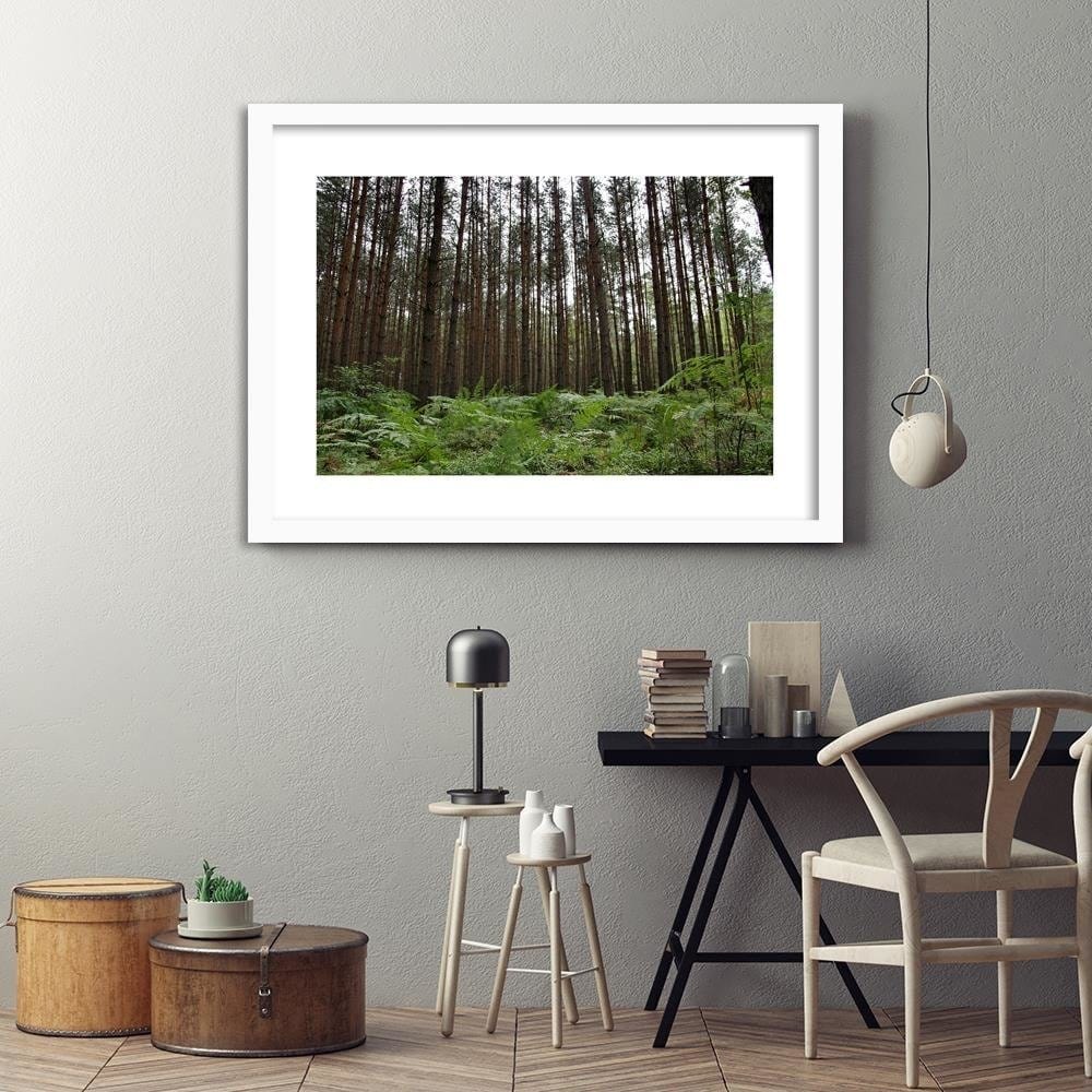 Glezna baltā rāmī - Ferns In The Forest Home Trends DECO
