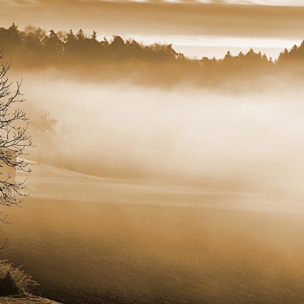 Glezna baltā rāmī - Fog Over The Lake 1 Home Trends DECO