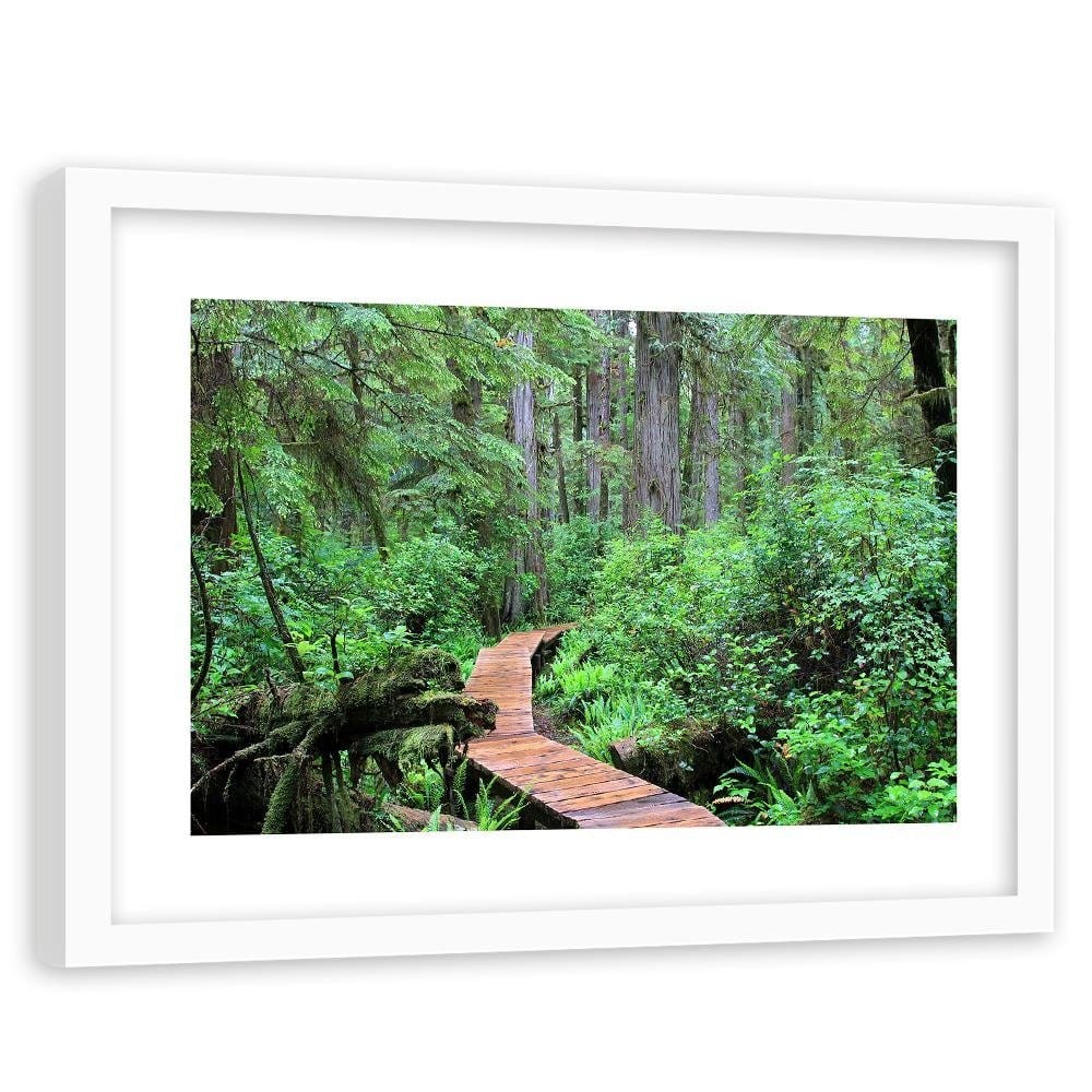 Glezna baltā rāmī - Footbridge In The Forest  Home Trends DECO