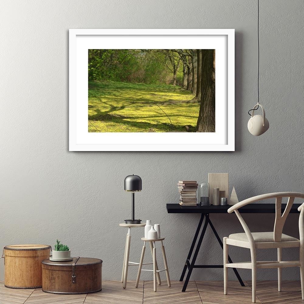 Glezna baltā rāmī - Forest Clearing Home Trends DECO