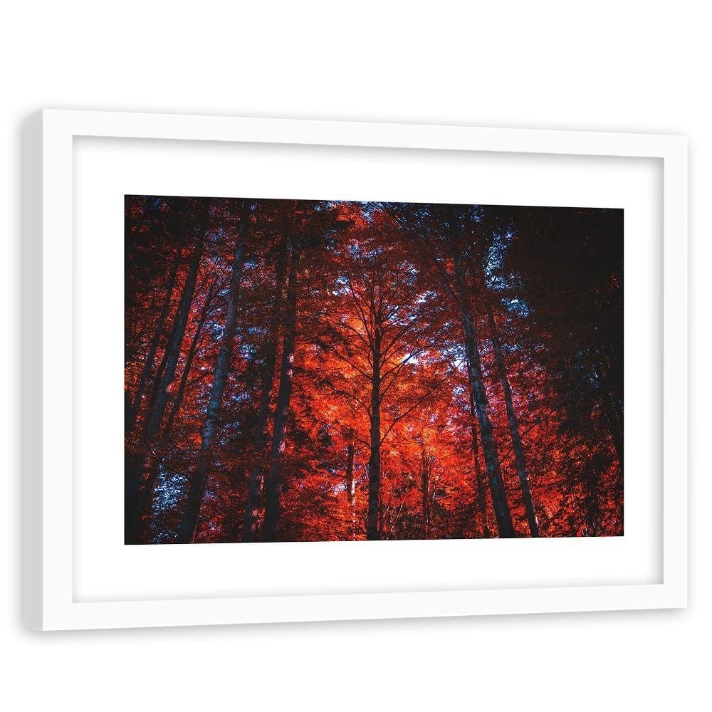 Glezna baltā rāmī - Forest In The Light Of The Setting Sun  Home Trends DECO