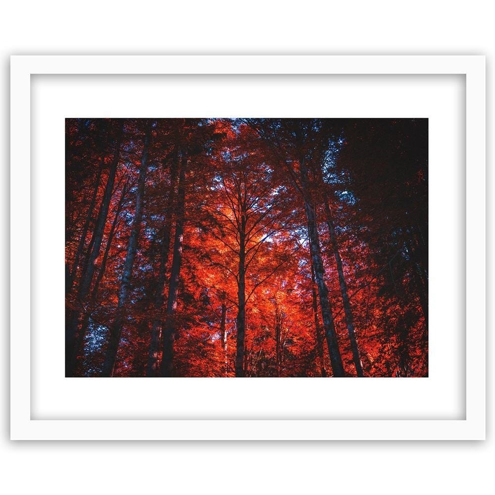 Glezna baltā rāmī - Forest In The Light Of The Setting Sun  Home Trends DECO
