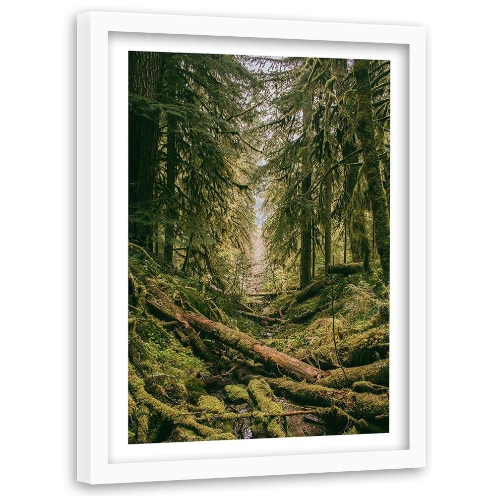 Glezna baltā rāmī - Forest Landscape  Home Trends DECO