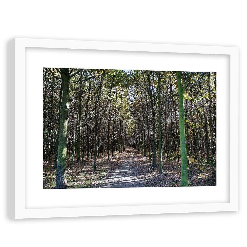 Glezna baltā rāmī - Forest Road  Home Trends DECO