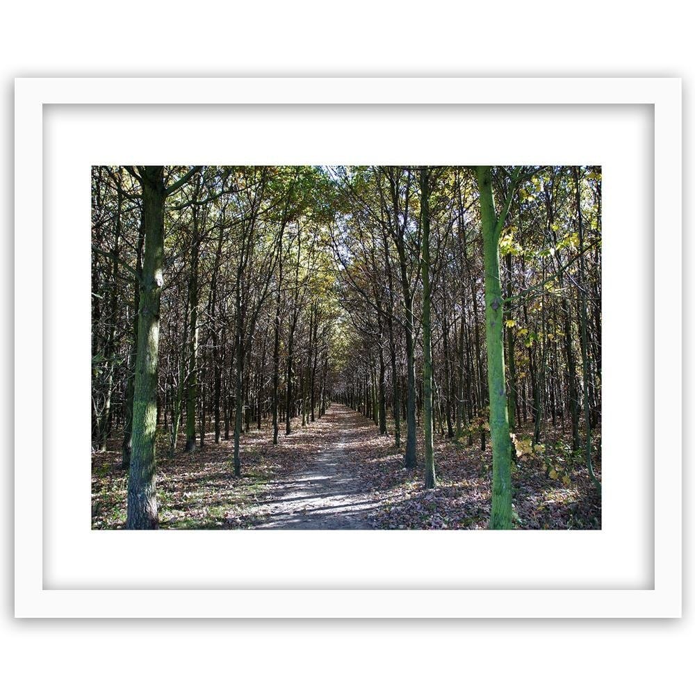 Glezna baltā rāmī - Forest Road  Home Trends DECO