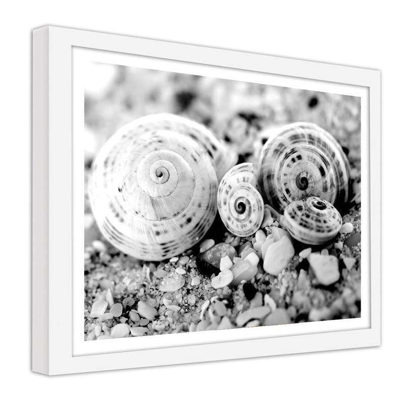 Glezna baltā rāmī - Four shells Home Trends DECO