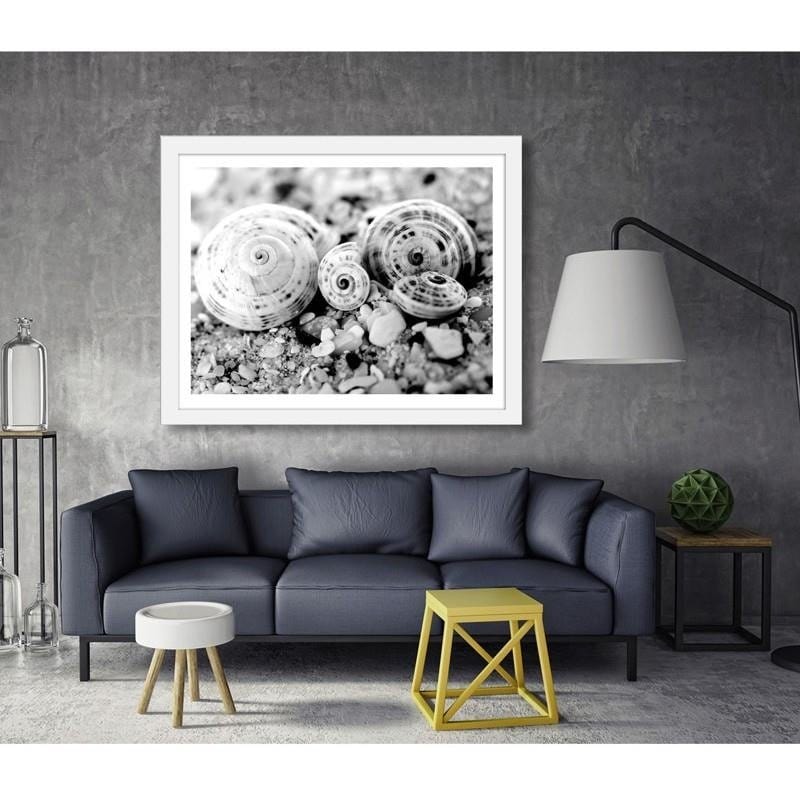 Glezna baltā rāmī - Four shells Home Trends DECO