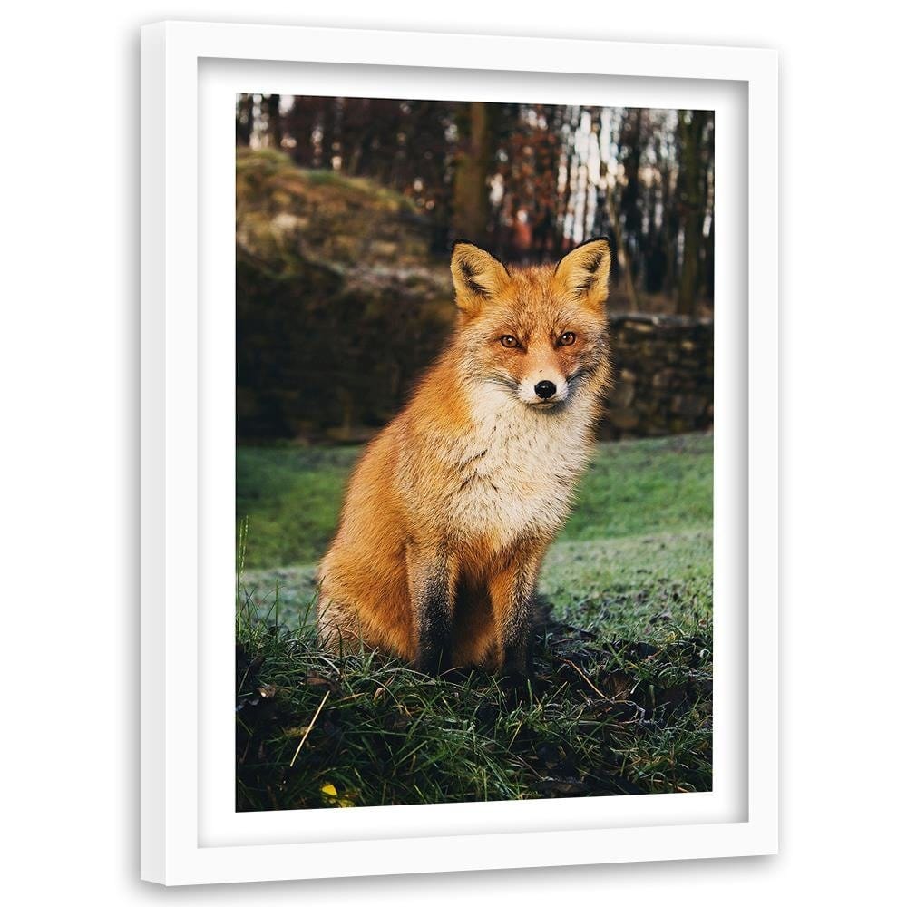 Glezna baltā rāmī - Fox In The Woods  Home Trends DECO