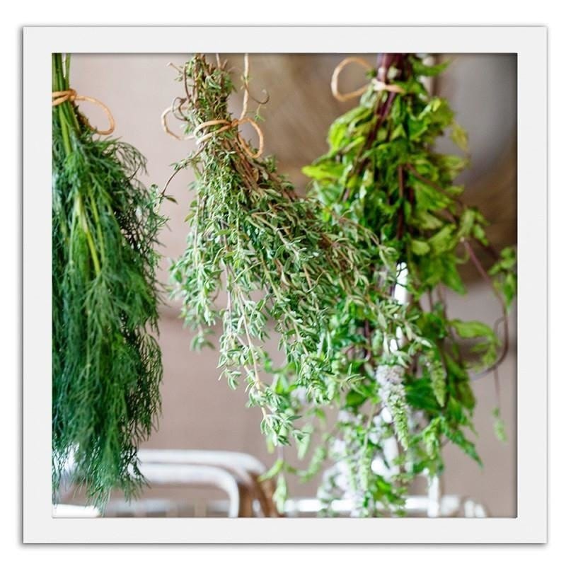 Glezna baltā rāmī - Fresh herbs 2 Home Trends DECO