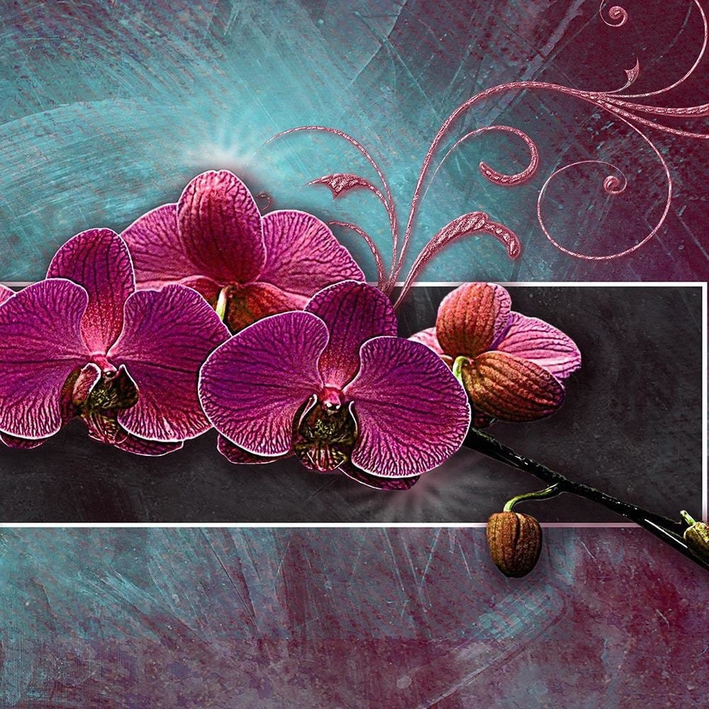 Glezna baltā rāmī - Fuchsia Orchid Home Trends DECO