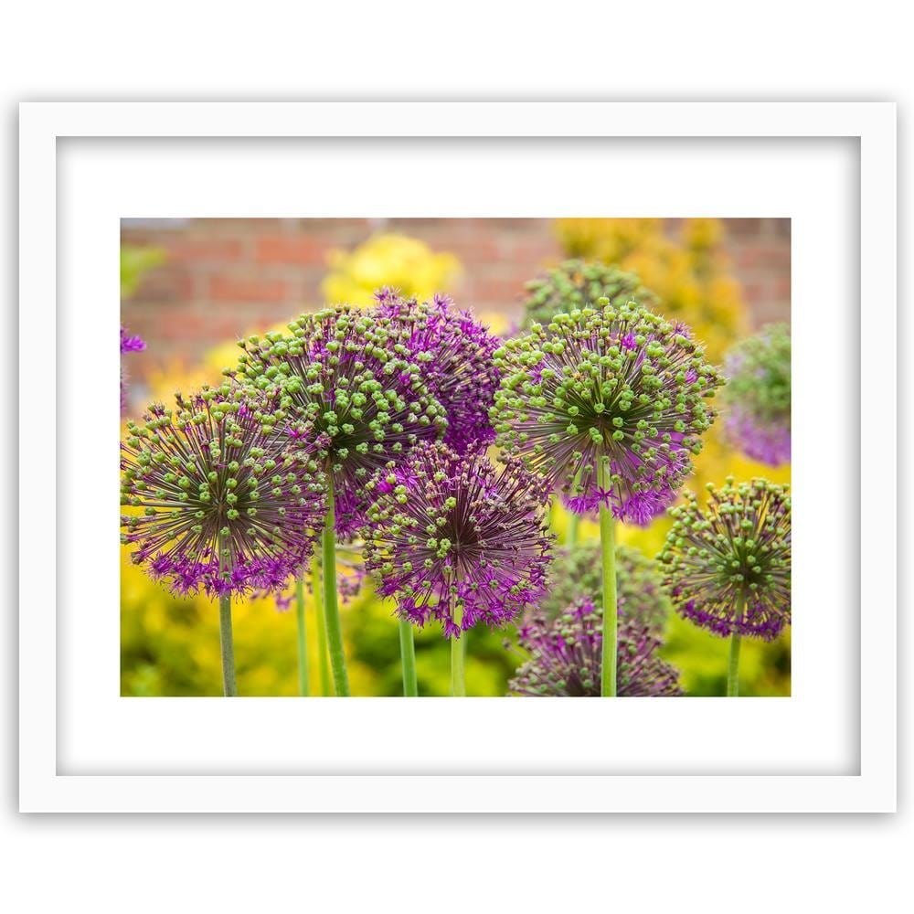 Glezna baltā rāmī - Garlic Decorative Home Trends DECO