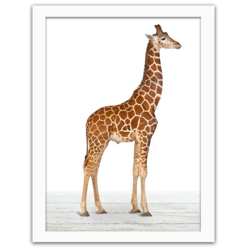 Glezna baltā rāmī - Giraffe Home Trends DECO