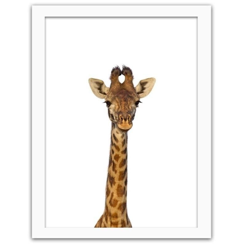 Glezna baltā rāmī - Giraffe portrait Home Trends DECO
