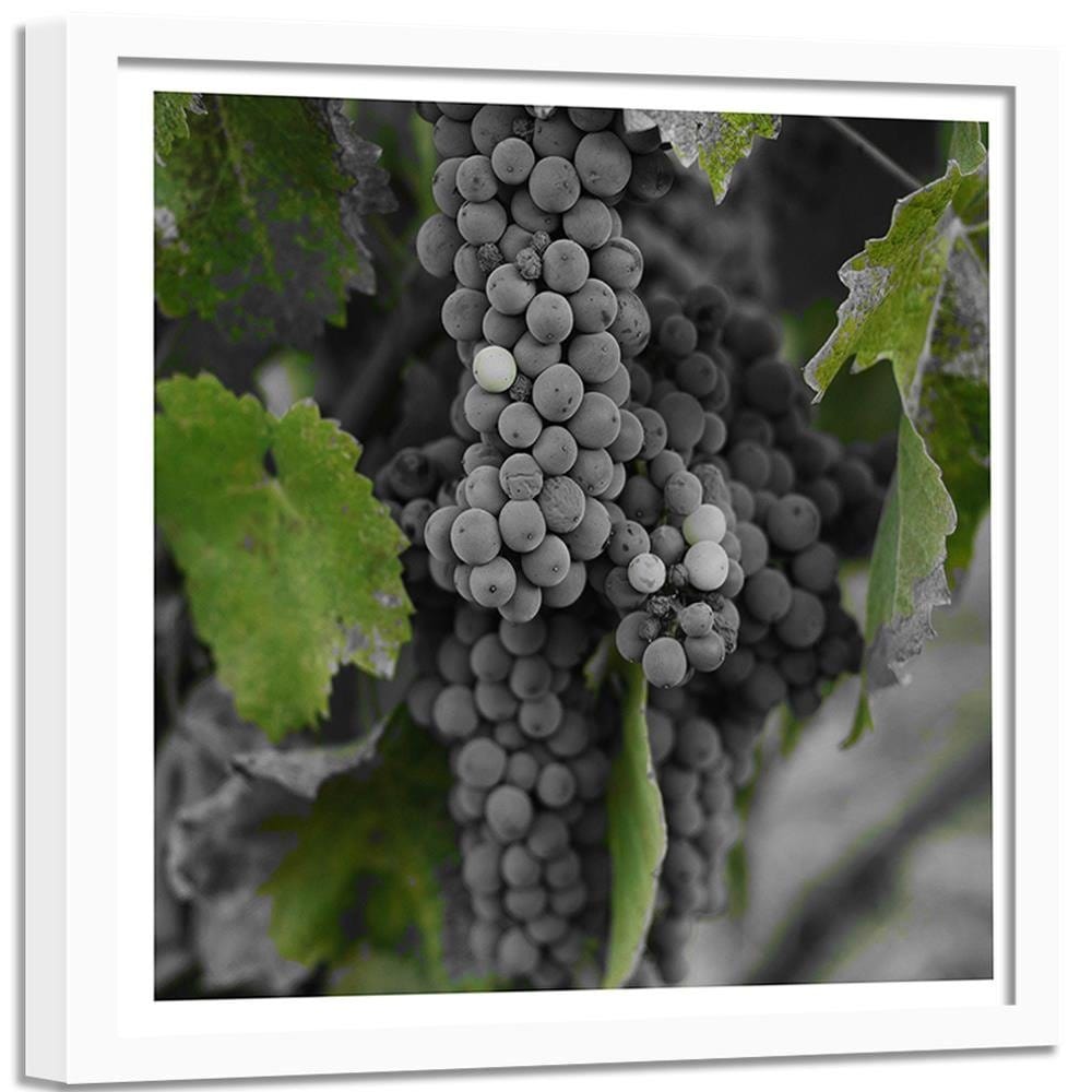 Glezna baltā rāmī - Grapes 2 Home Trends DECO