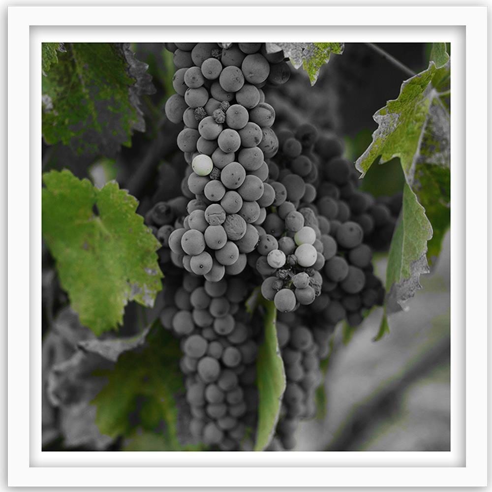 Glezna baltā rāmī - Grapes 2 Home Trends DECO