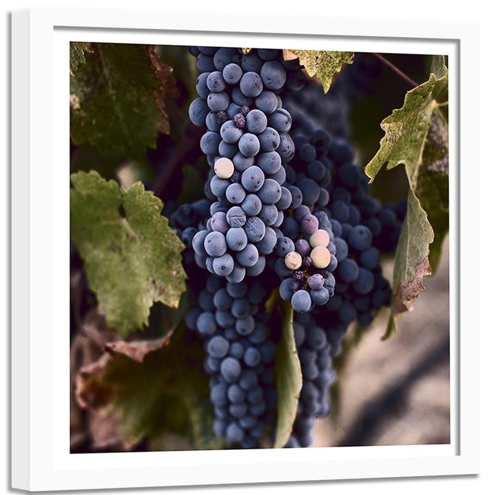 Glezna baltā rāmī - Grapes Home Trends DECO