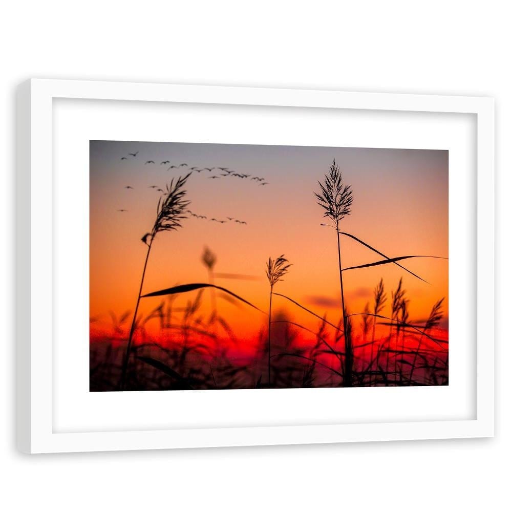 Glezna baltā rāmī - Grass At Sunset  Home Trends DECO