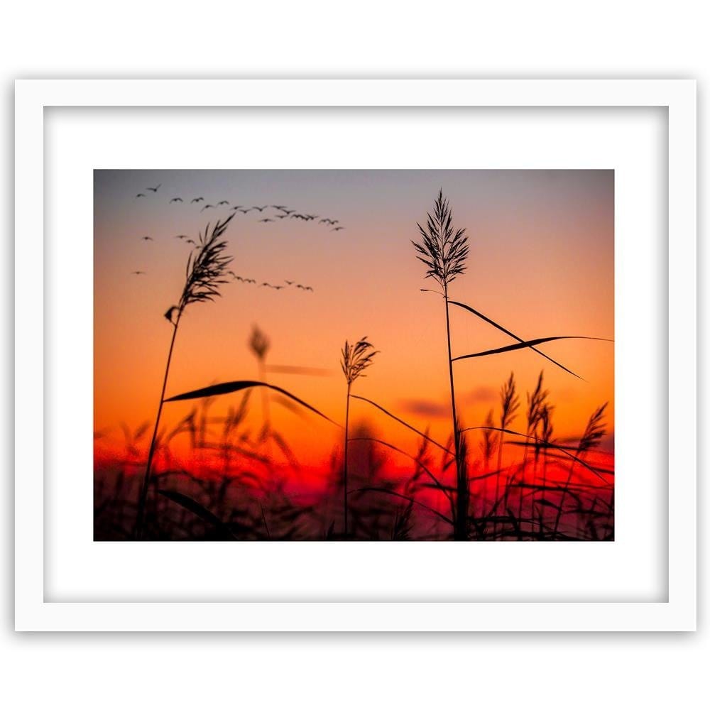 Glezna baltā rāmī - Grass At Sunset  Home Trends DECO