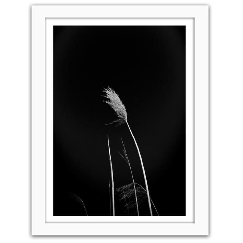 Glezna baltā rāmī - Grass on black background Home Trends DECO