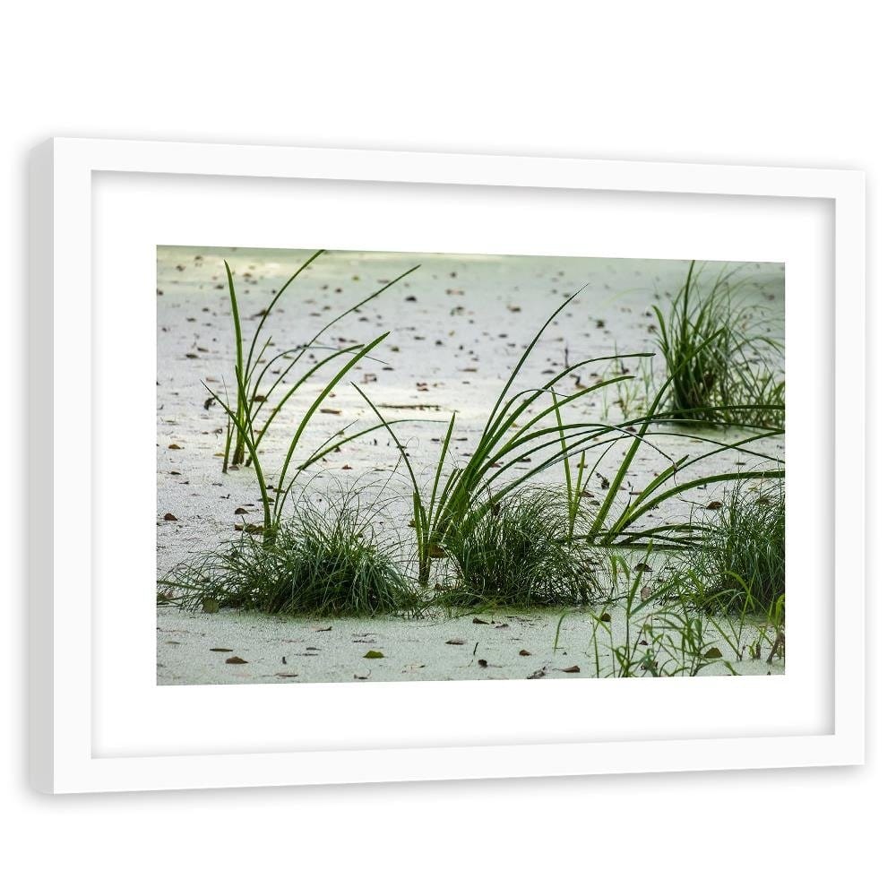 Glezna baltā rāmī - Grass On The Beach Home Trends DECO