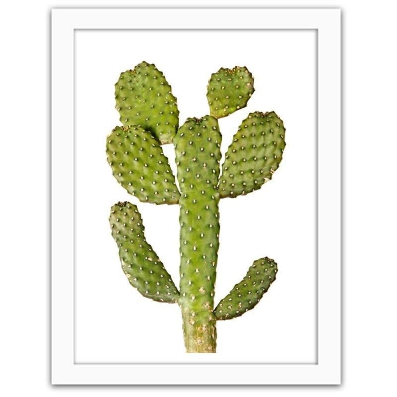 Glezna baltā rāmī - Green cactus Home Trends DECO