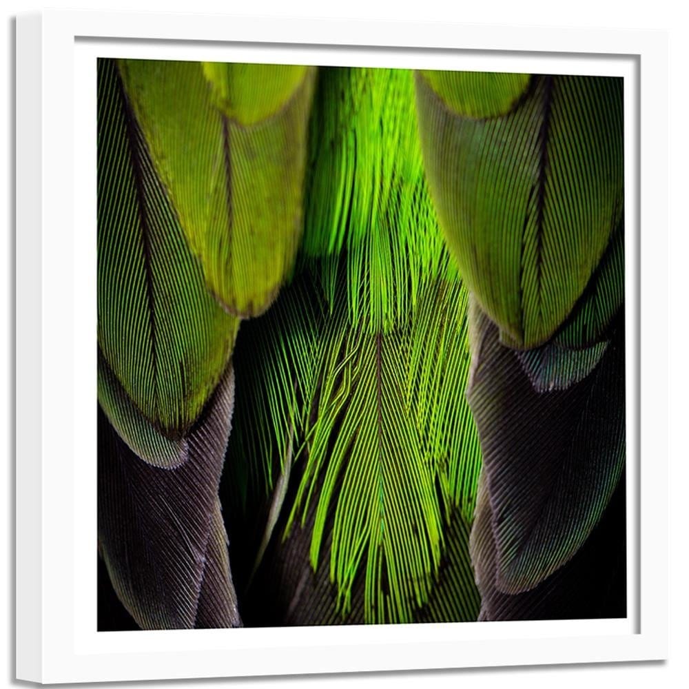 Glezna baltā rāmī - Green Feathers Home Trends DECO
