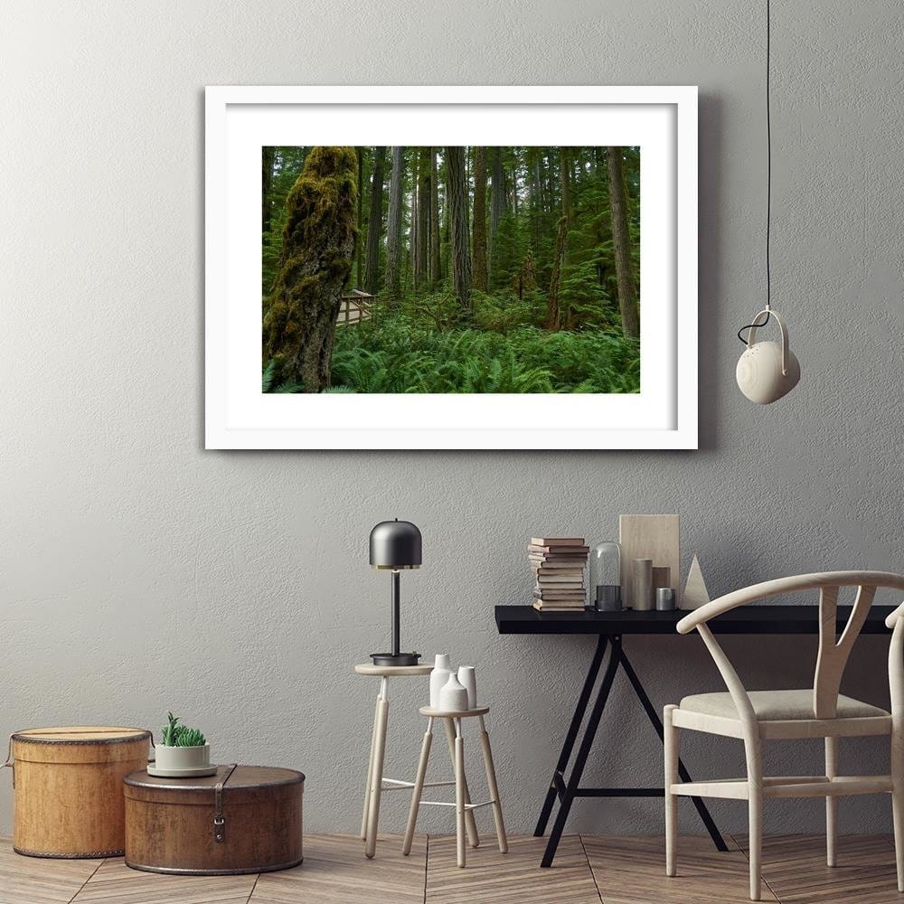 Glezna baltā rāmī - Green Ferns In The Forest Home Trends DECO
