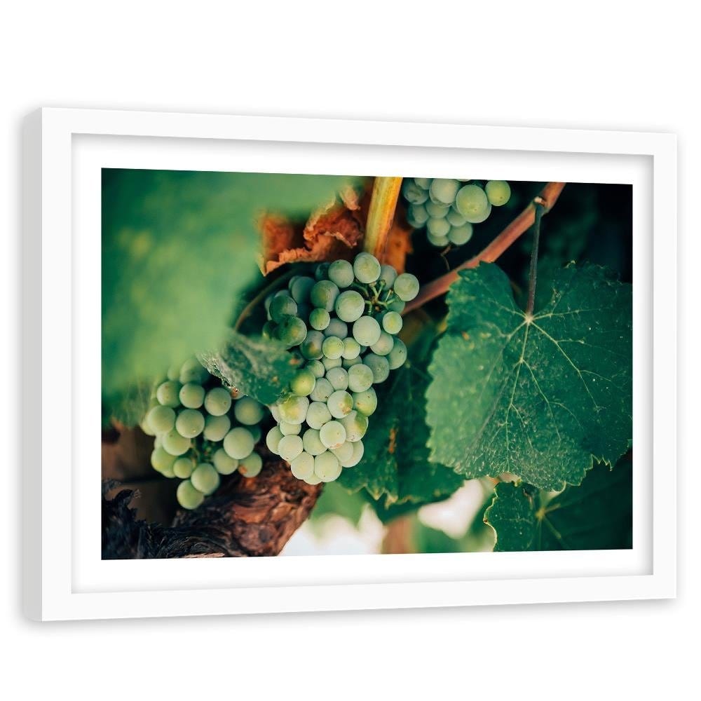 Glezna baltā rāmī - Green Grapes Home Trends DECO