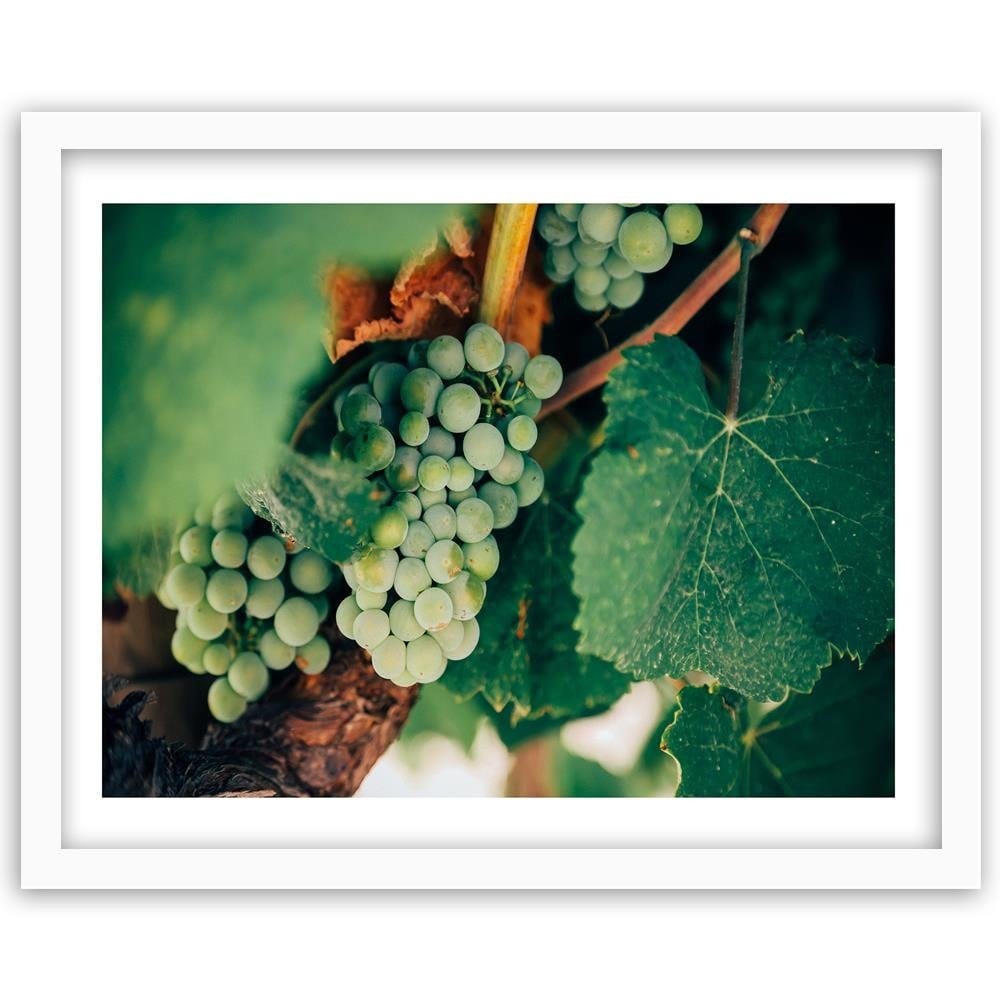 Glezna baltā rāmī - Green Grapes Home Trends DECO