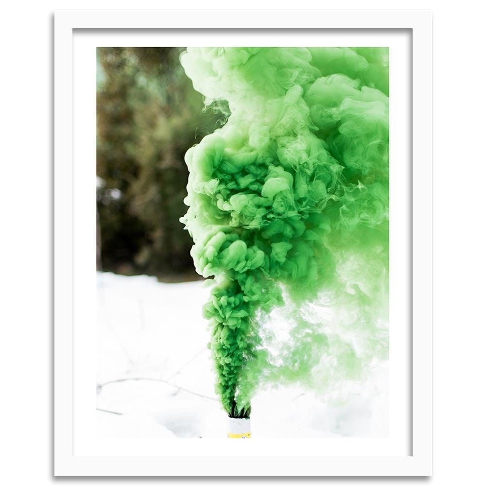 Glezna baltā rāmī - Green Shoots Home Trends DECO
